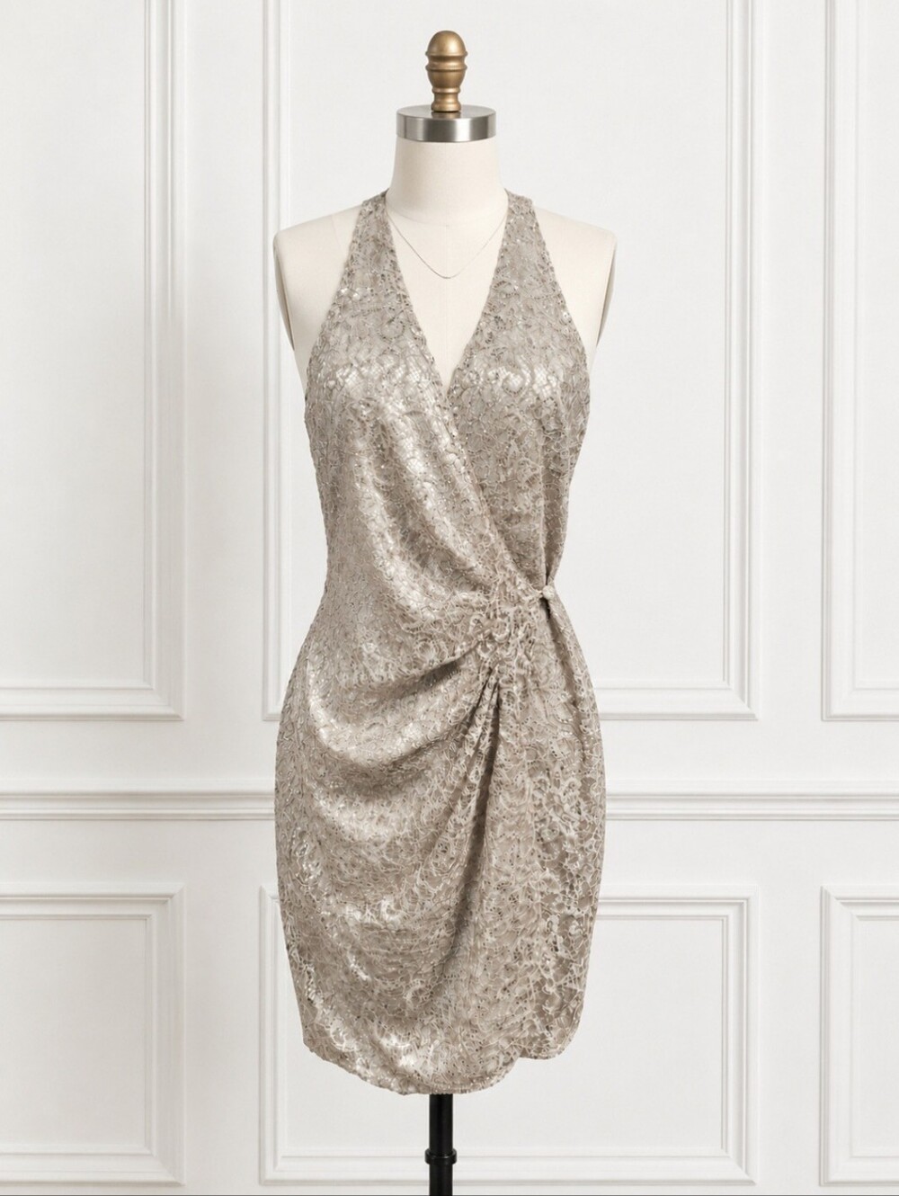 Parker Reina Lace Dress